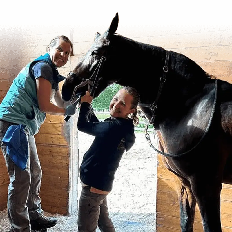 Deerfield Veterinary Clinic veterinarians providing dental care to a horse