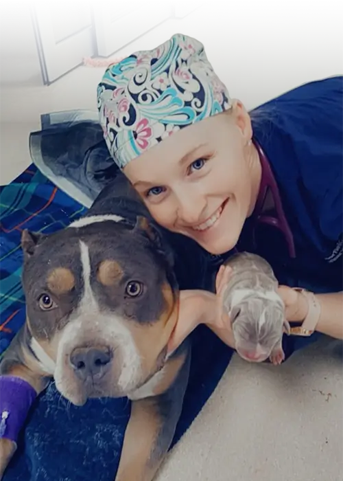 Veterinarian providing emergency services for a pet dog