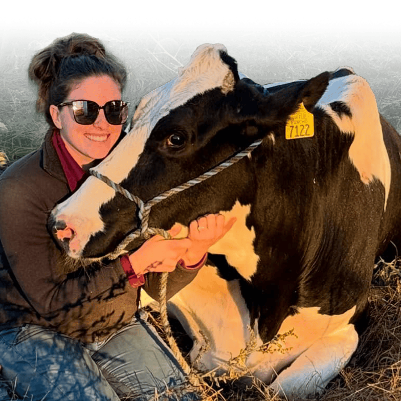 Large Animal Routine Care