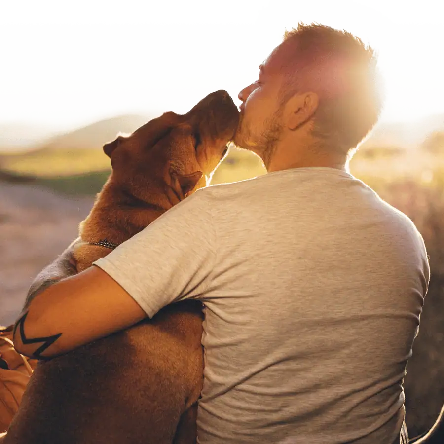 A dog kissing his owner in the sunset