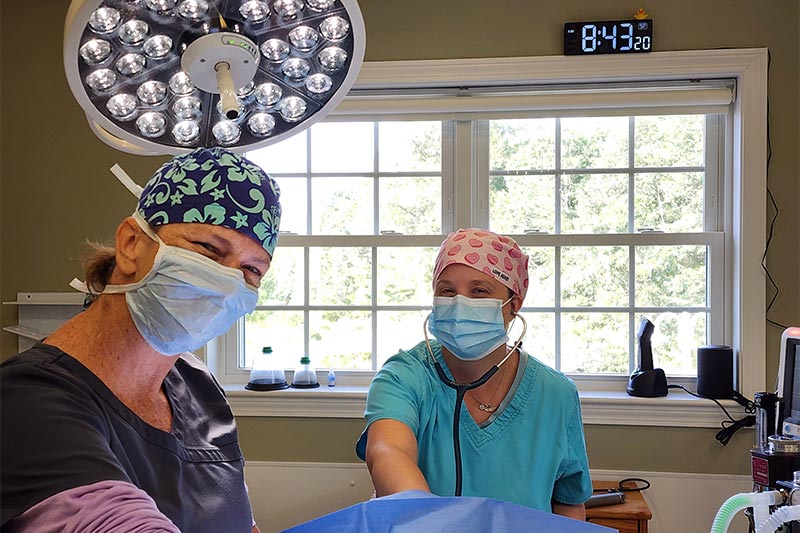 Our surgical staff Our surgical staff